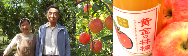 黄金の林檎ジュース　滝沢りんご果樹園のりんごジュース
